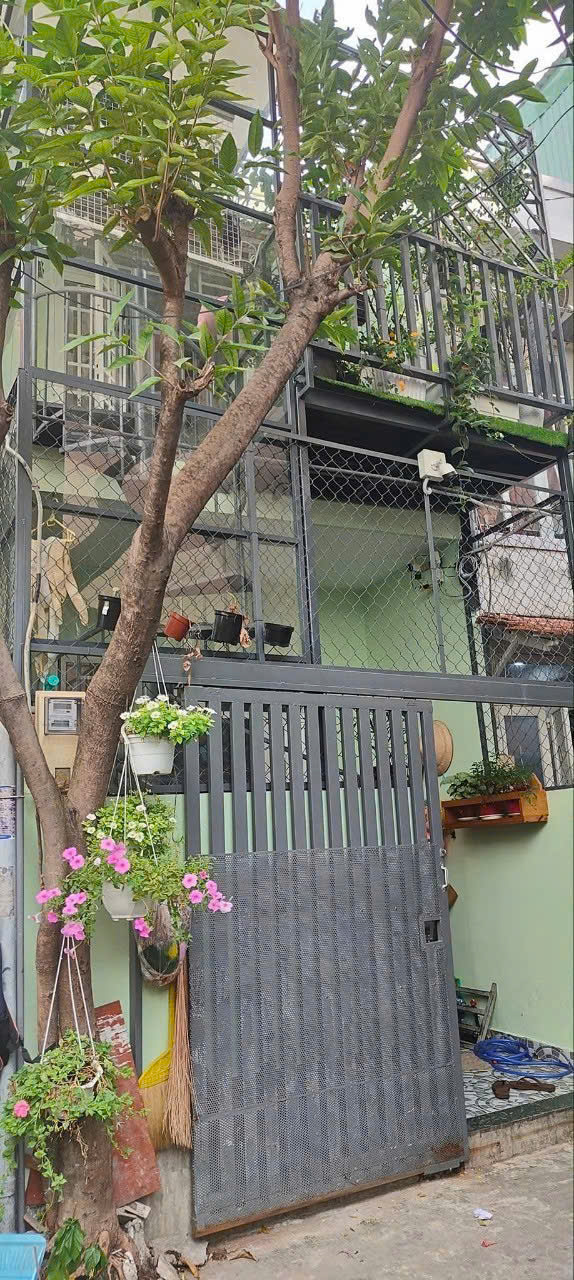 HÀNG HIẾM CHÍNH CHỦ - NGUYỄN VĂN ĐẬU - 40M - KHU DÂN TRÍ - P5 BÌNH THẠNH - GIÁ BÁN 4.95 TỶ - TL - Ảnh 1