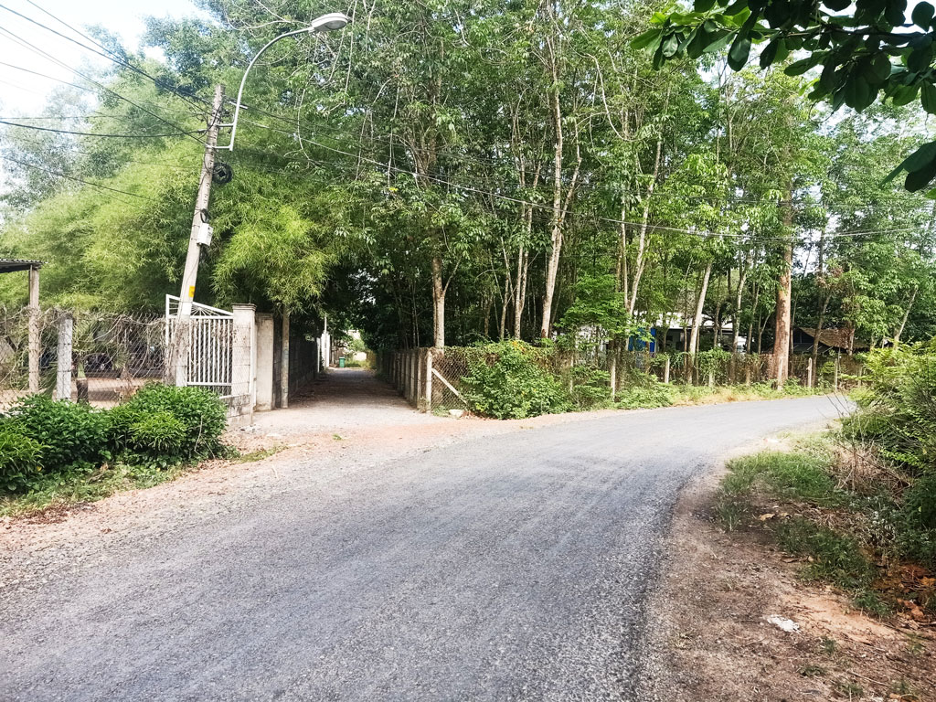 Bán nhà vườn 1/ đường 437 - 1653m2 - 30x59 - 300m2 thổ cư - xã Phú Hòa Đông - Củ Chi - Ảnh 3