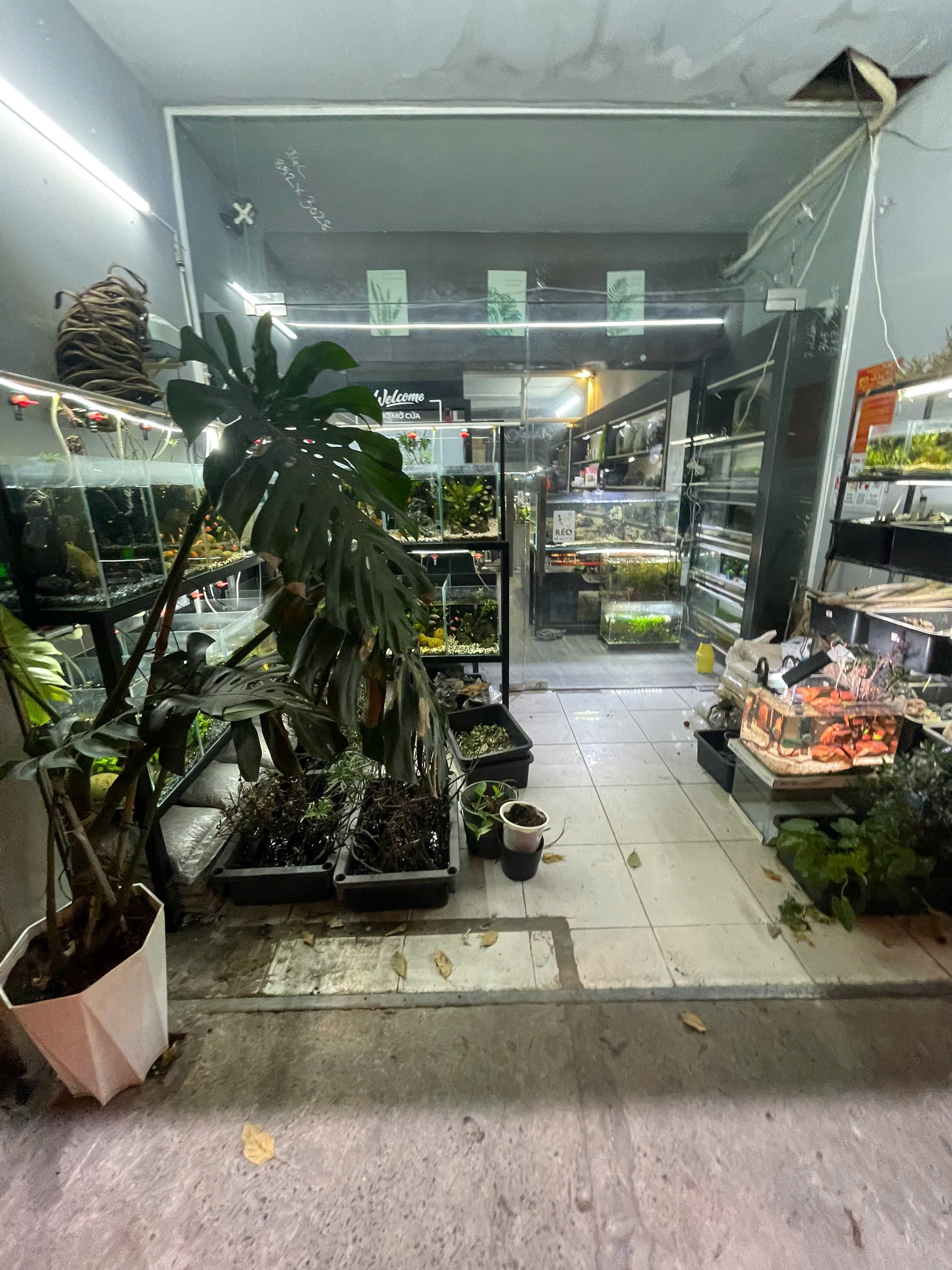 CHÍNH CHỦ CÓ VIỆC CẦN SANG GẤP LẠI QUÁN 5B Nguyễn Biểu-Phường 1-  Quận 5- TP.HCM - Ảnh chính
