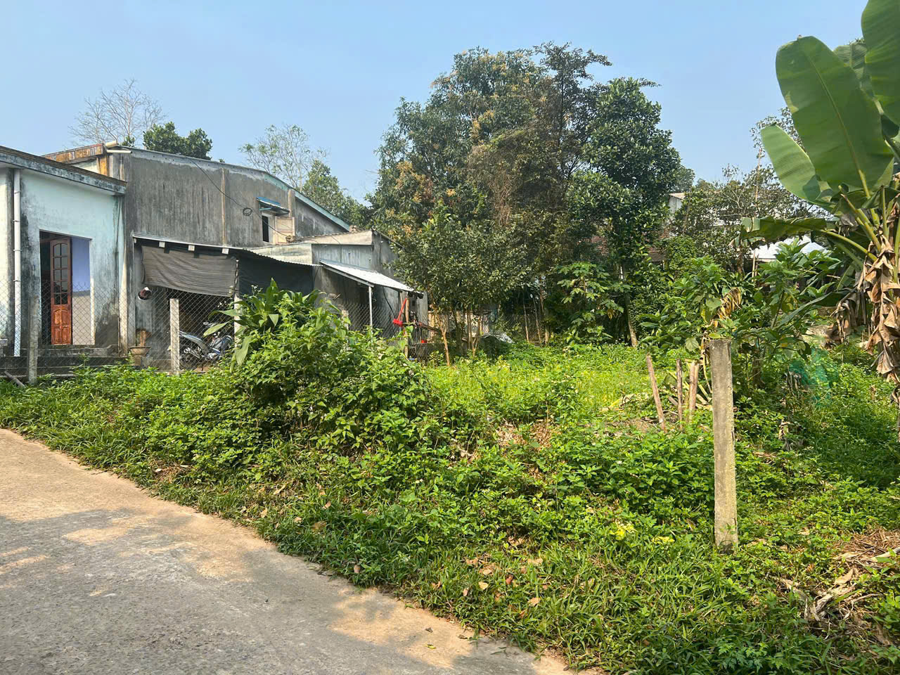 CHÍNH CHỦ CẦN BÁN ĐẤT HÒA NHƠN - HÒA VANG- ĐÀ NẴNG - Ảnh 2