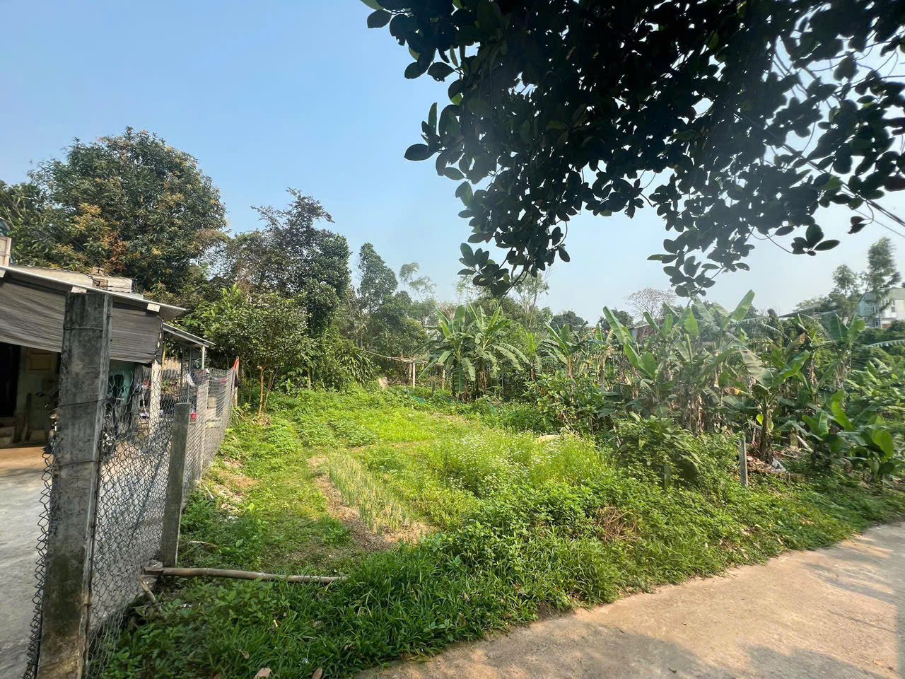 CHÍNH CHỦ CẦN BÁN ĐẤT HÒA NHƠN - HÒA VANG- ĐÀ NẴNG - Ảnh 1