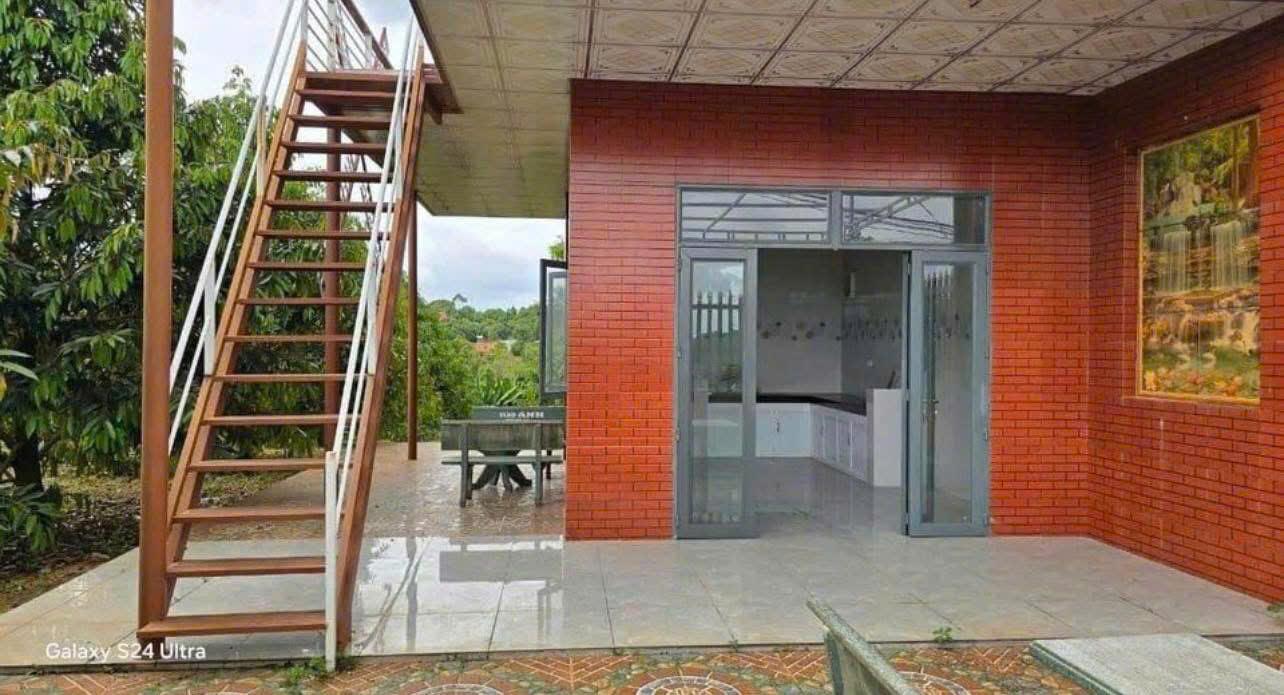 BÁN GẤP ĐẤT Ở THỔ CƯ 3032M2 - TÂN PHƯỚC KHÁNH, TÂN UYÊN, BÌNH DƯƠNG - GIÁ 550 TRIỆU - SỔ HỒNG CHÍNH - Ảnh 3