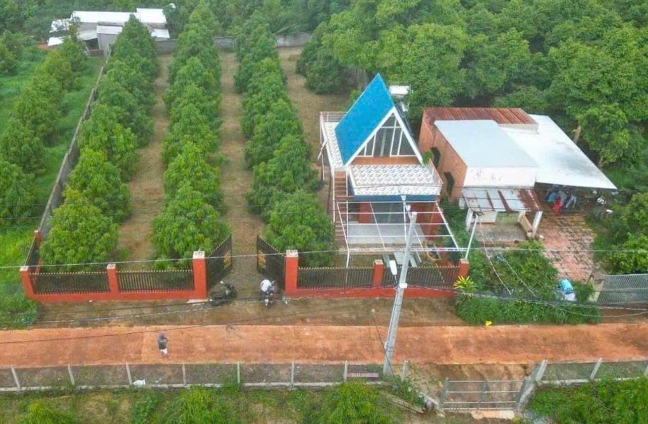 BÁN GẤP ĐẤT Ở THỔ CƯ 3032M2 - TÂN PHƯỚC KHÁNH, TÂN UYÊN, BÌNH DƯƠNG - GIÁ 550 TRIỆU - SỔ HỒNG CHÍNH - Ảnh chính