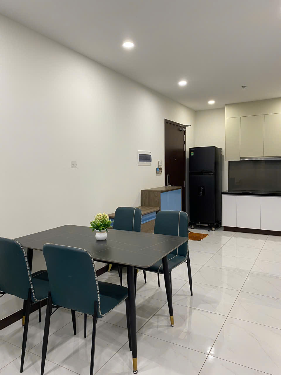 CHÍNH CHỦ CẦN CHO THUÊ CĂN HỘ C SKYVIEW TẠI CHÁNH NGHĨA - THỦ DẦU MỘT - Ảnh 3
