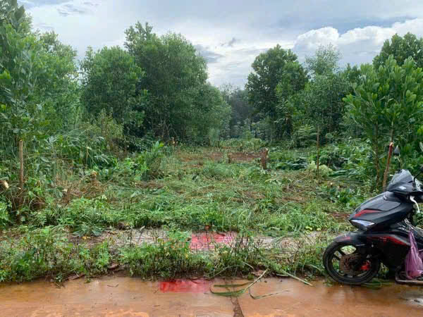 ĐẤT ĐẸP – GIÁ TỐT -  CẦN BÁN LÔ ĐẤT tại xã Nghĩa Trung, Bù Đăng - Tỉnh Bình Phước - Ảnh 2