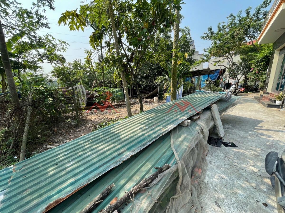 CHÍNH CHỦ BÁN LÔ ĐẤT 55,7M TẠI ĐỒNG MAI-HÀ ĐÔNG-HÀ NỘI - Ảnh 2