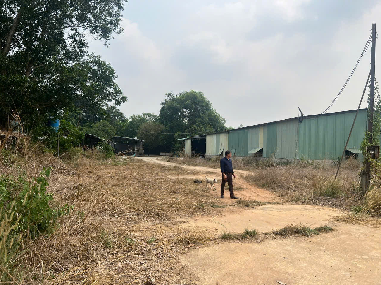 Cho thuê xưởng 3.000m² Lai Uyên Bàu Bàng Bình Dương, giá chỉ 20tr/tháng. Chothuexuongmiennam.com - - Ảnh 3