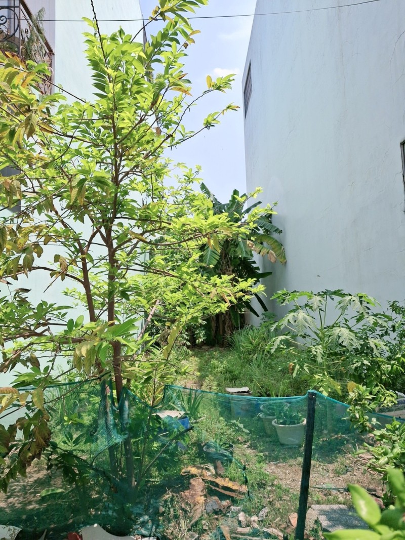 Bán đất Phân Lô Thủ Đức, Phân lô 5mx25m, phù hợp xây nhà cao tầng để ở hoặc CHDV cho thuê giá cao. - Ảnh 2