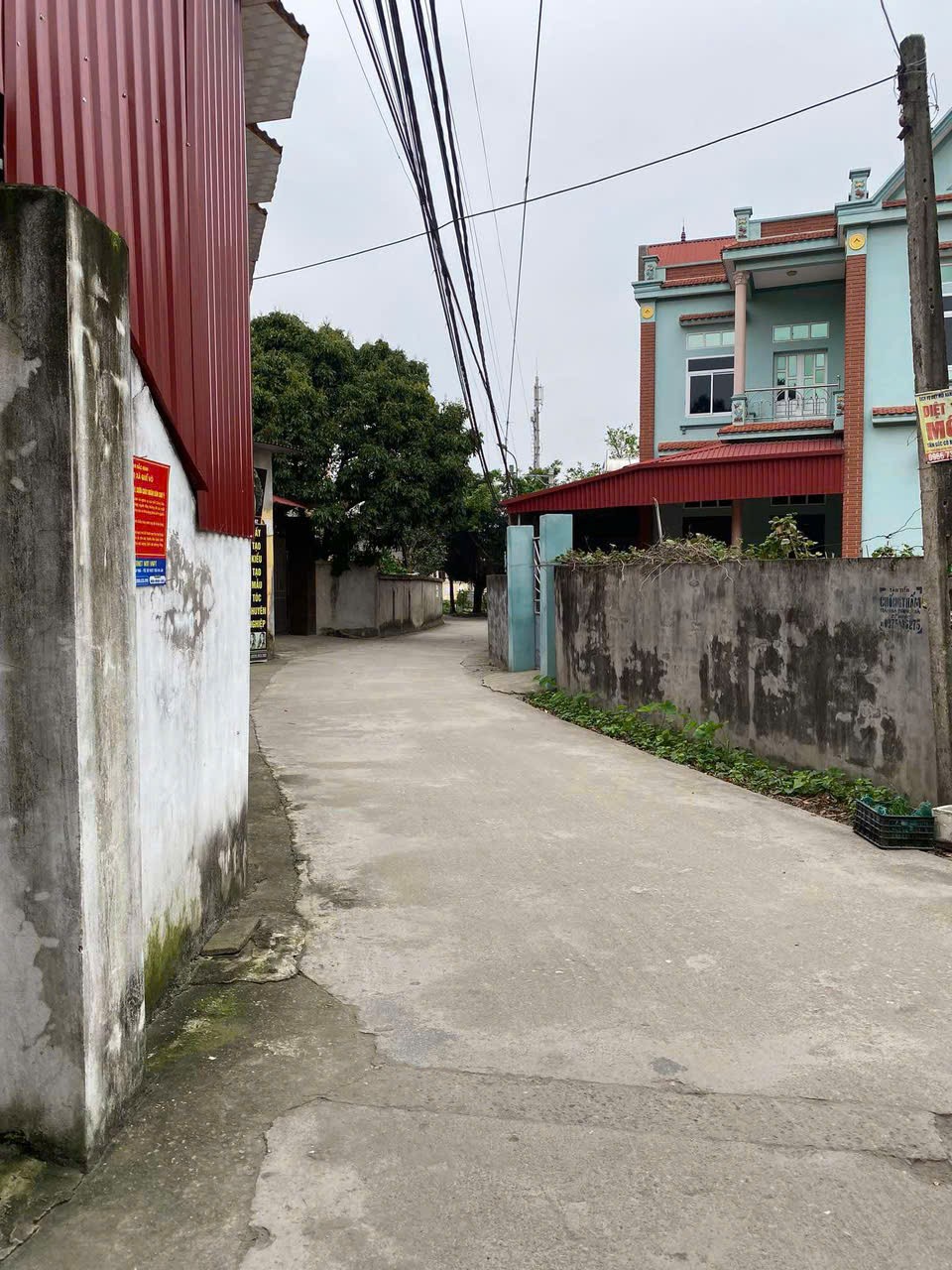 Chính Chủ Cần bán nhanh lô đất Đường Mai Cương - Cách Bi - Quế Võ - Bắc Ninh - Ảnh 3