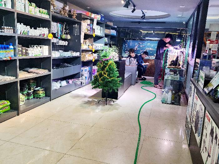 (Tin thật 100%) Bán tòa Bulding - VP 2 mặt tiền 105m2 x 8T ở mặt phố Quan Hoa - Cho thuê 2,5 tỷ/năm - Ảnh 2