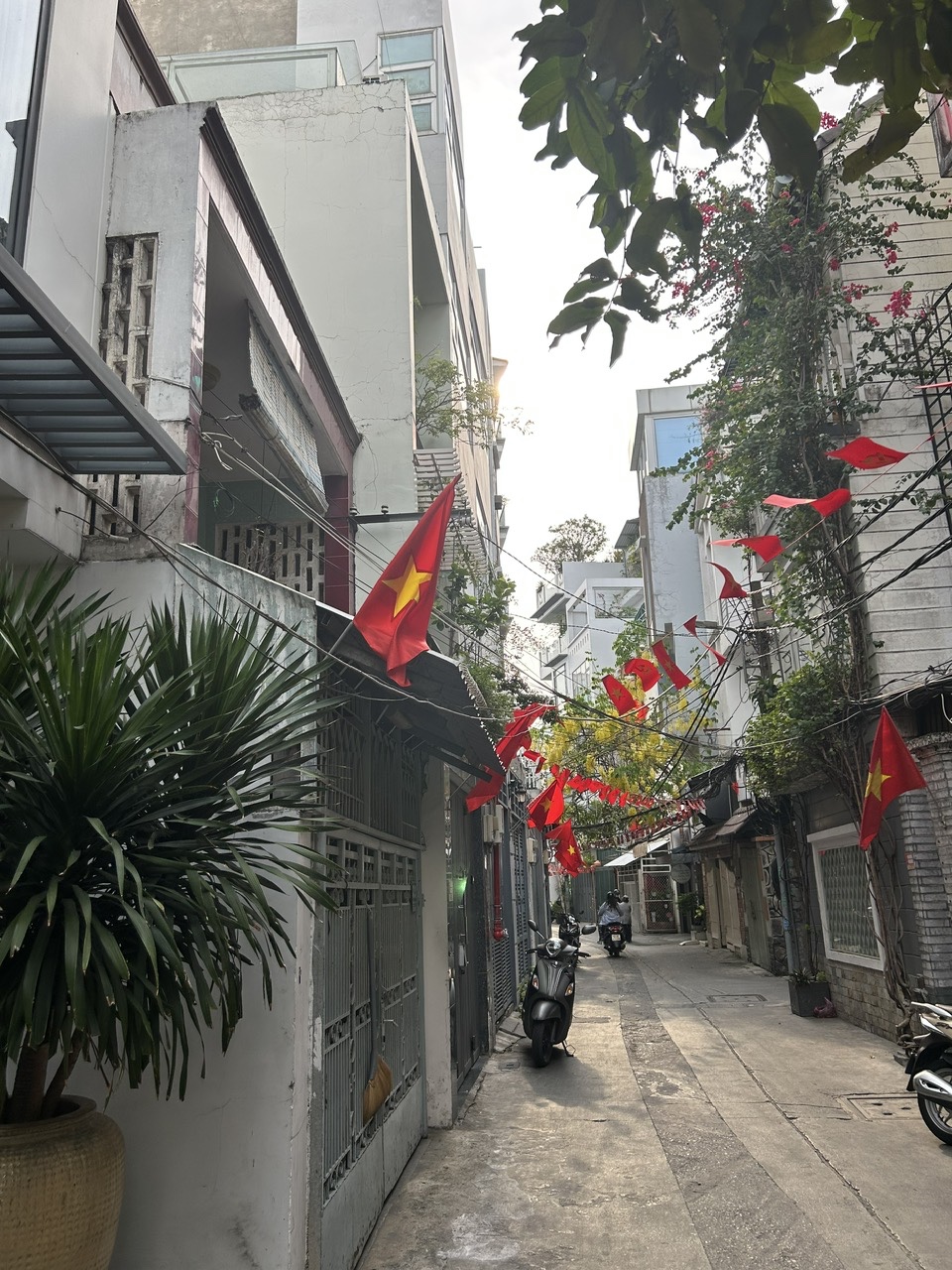 CHÍNH CHỦ BÁN CĂN MẶT TIỀN - XE HƠI ĐẾN CỬA- GAIO THÔNG THUẬN TIỆN QUA QUẬN 1 VÀ Q7 CHỈ 3 PHÚT. - Ảnh 2