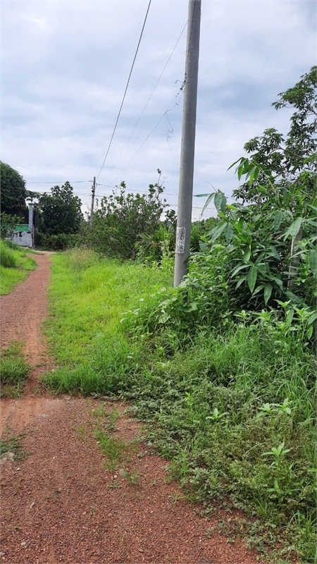 bán đất tặng nhà cấp 4, khí hậu trong lành, gần đập thủy điện trị an. đất đẹp - Ảnh 3