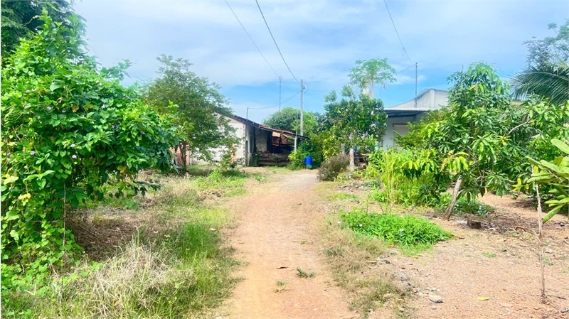 bán đất tặng nhà cấp 4, khí hậu trong lành, gần đập thủy điện trị an. đất đẹp - Ảnh chính