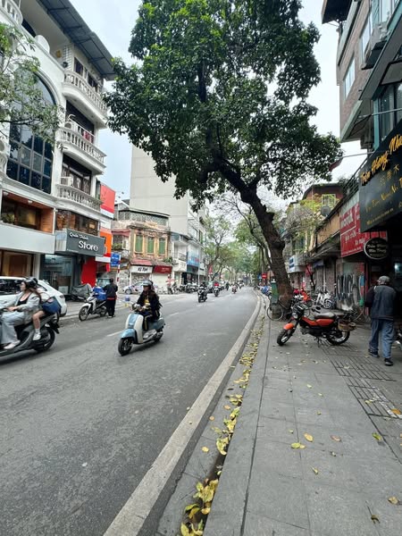 Bán nhà mặt phố Quán Thánh, 56m2, 6 tầng thang máy, nhỉnh 35 tỷ, vỉa hè rộng, kinh doanh đỉnh - Ảnh 4