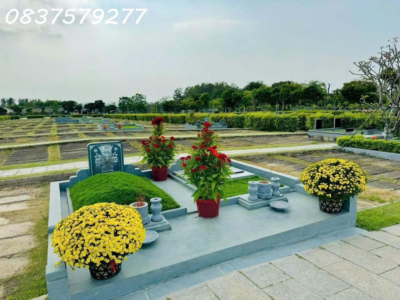 SALA GARDEN - TRỌN VẸN AN YÊN - Ảnh 3