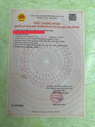 BÁN LÔ GÓC SIÊU ĐẸP – MẶT ĐƯỜNG HÒA BÌNH, QUẤT LÂM – VỊ TRÍ VÀNG KINH DOANH DU LỊCH - Ảnh 3