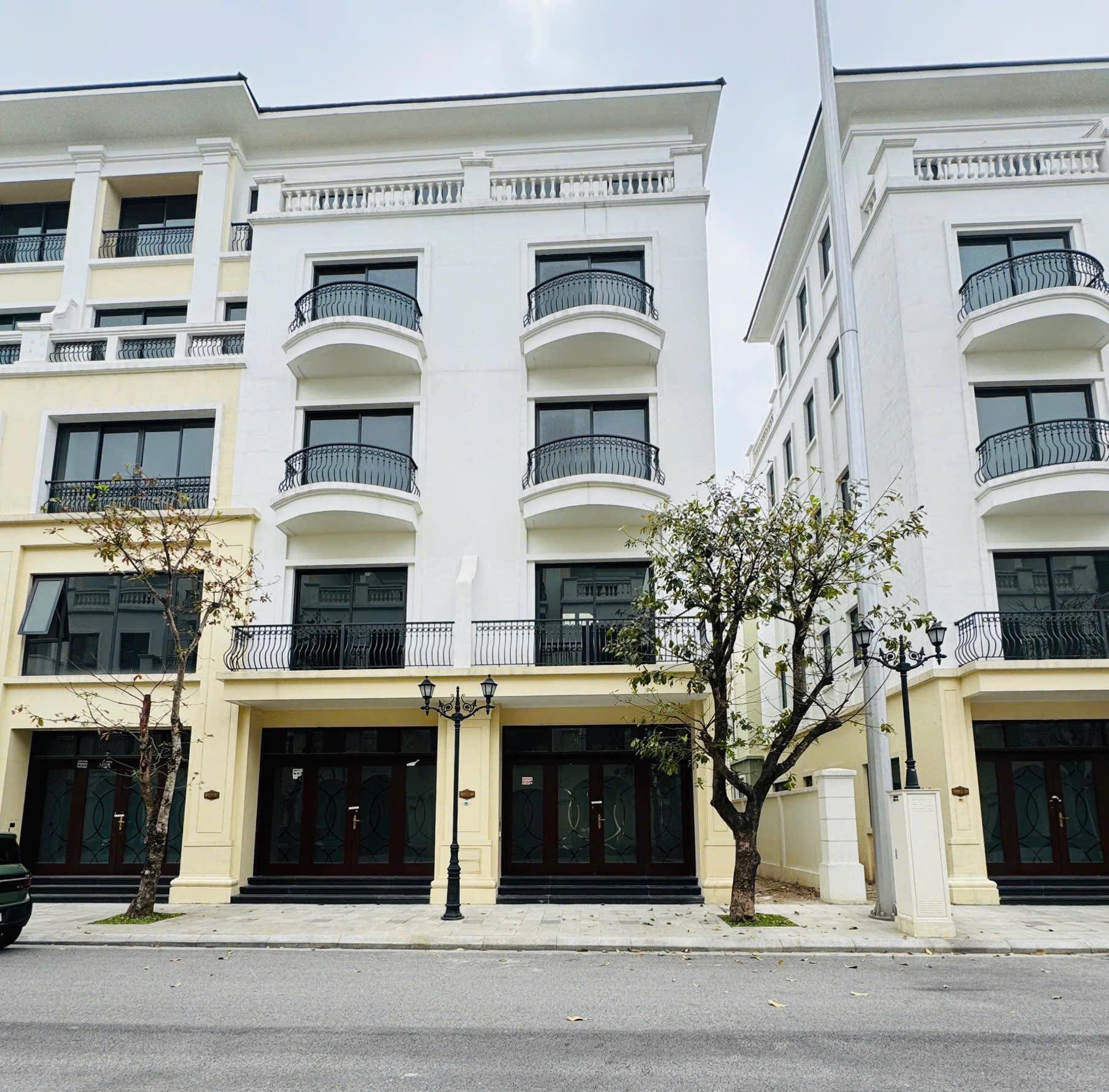 Xẻ khe 98m2 San Hô - Vị trí đẹp - Đơn giá TỐT nhất Vinhomes Ocean Park 2 - Ảnh chính