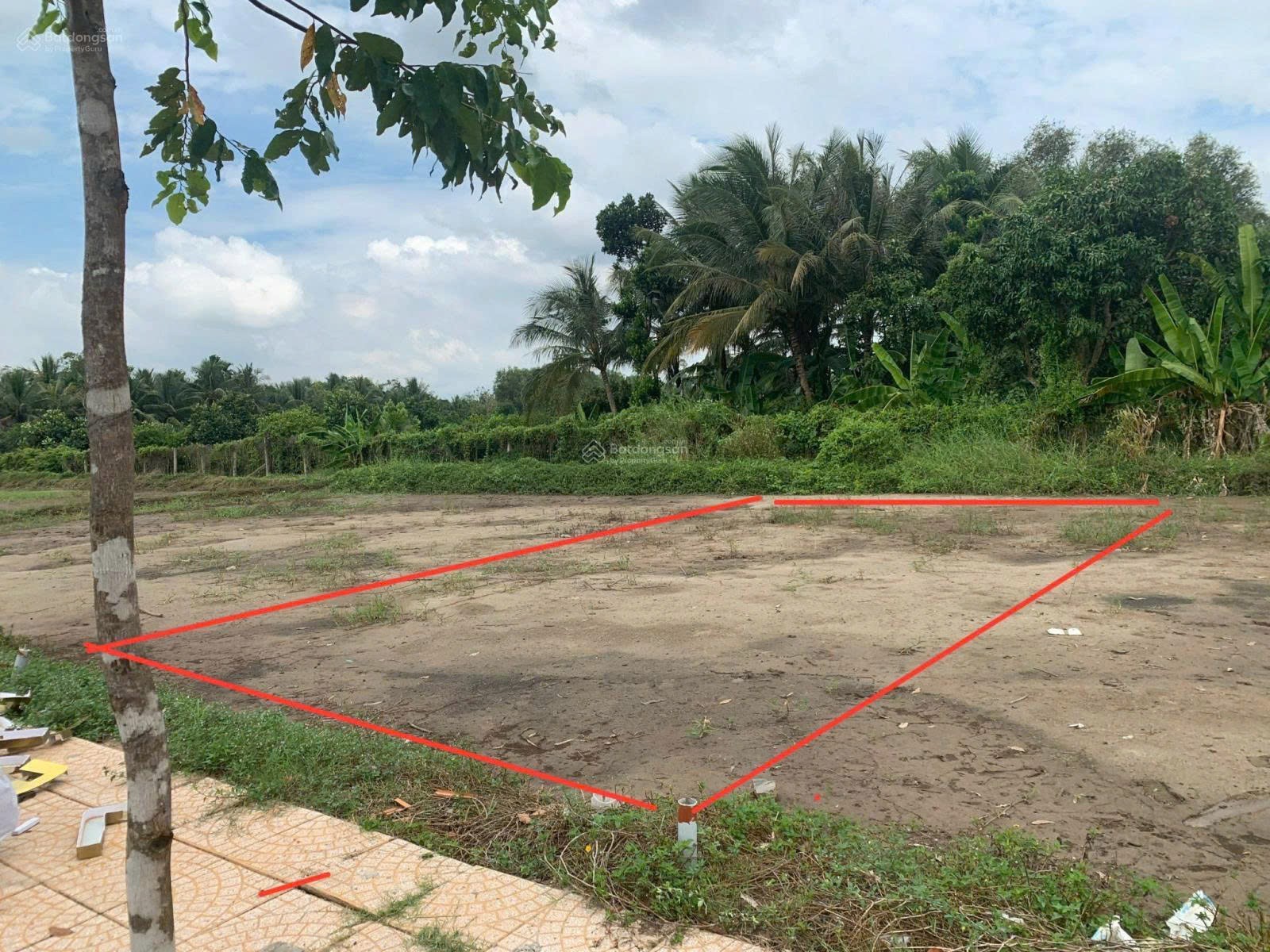 CHÍNH CHỦ CẦN BÁN GẤP Nền Thổ Cư Tại KDC Minh Trí, Phụng Hiệp, Hậu Giang - Ảnh 2