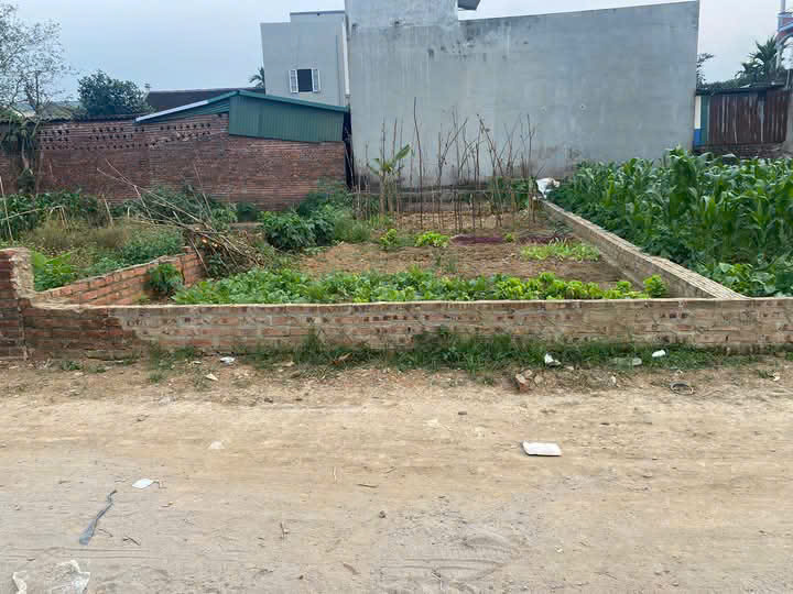 ĐẤT ĐẸP CHÍNH CHỦ- GIÁ TỐT - Vị Trí Đắc Địa Tại Thôn Đồng Táng, Xã Đồng Trúc, Thạch Thất, TPHN - Ảnh 3