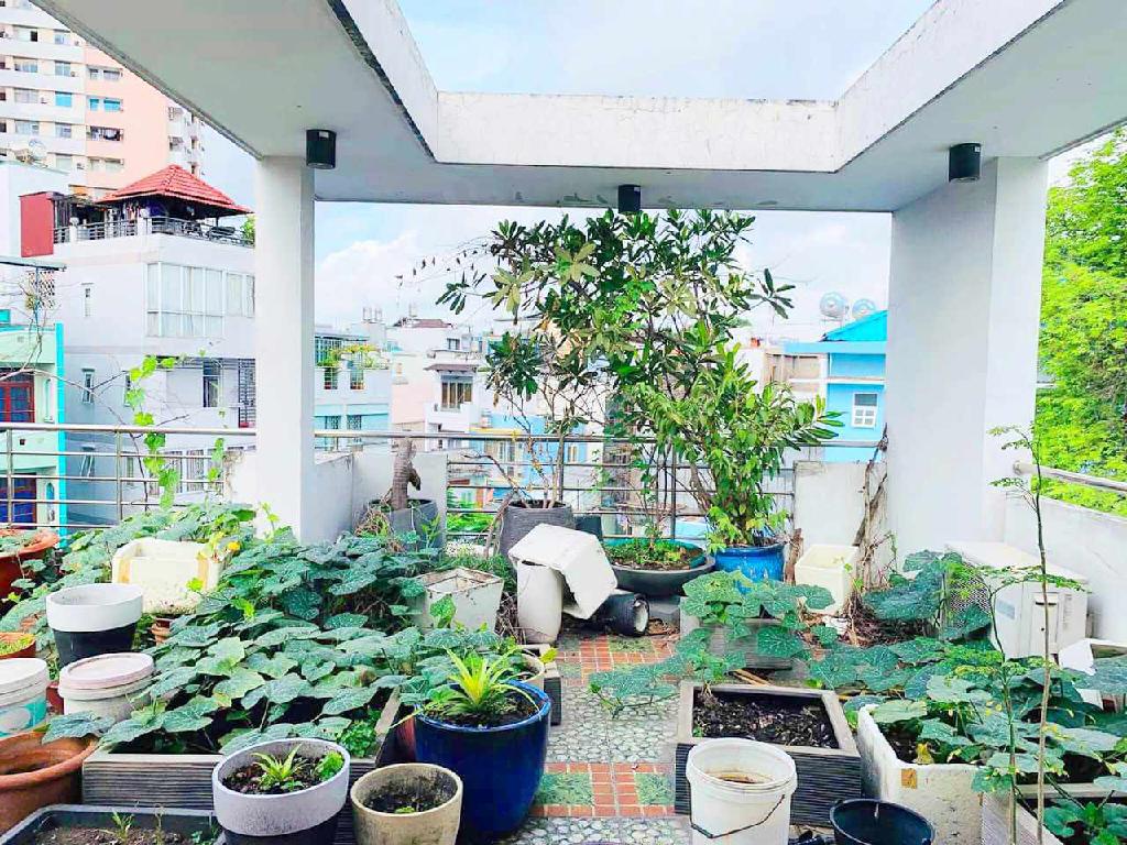 GIẢM SỐC 1 TỶ – CƠ HỘI SỞ HỮU TÒA NHÀ CHDV CAO CẤP LÊ VĂN SỸ, Q.3 – GIÁ MỚI CHỈ 17 TỶ - Ảnh 1