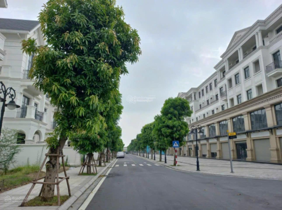 CHO THUÊ Shophouse HẢI ÂU 9 -OCEAN PARK 1-58m2/5TẨNG - THANG MÁY- KINH DOANH ĐỈNH - 27 TRIỆU/THÁNG - Ảnh 3