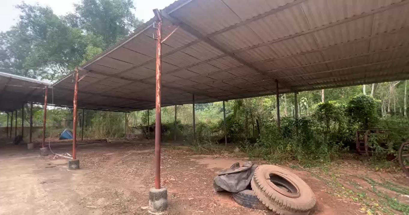 Cho thuê xưởng 3.000m² tại Lai Uyên, Bàu Bàng, Bình Dương – Khu vực gia công đa ngành nghề, giá chỉ - Ảnh 3