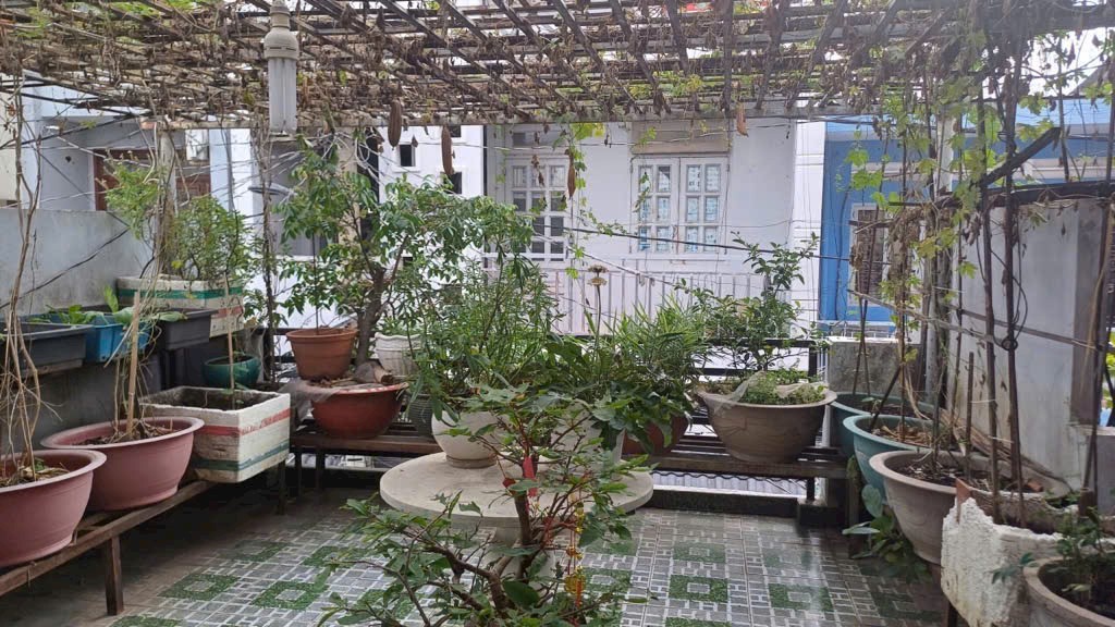 NHÀ ĐẸP - HẺM 6M THÔNG QUANG TRUNG - GẦN CV LÀNG HOA - DT 70M² - 4 TẦNG CHỈ 7.X TỶ - Ảnh 7