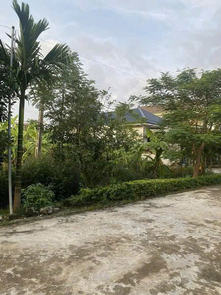 ĐẤT ĐẸP – GIÁ  TỐT - CẦN BÁN NHANH LÔ ĐẤT Mặt Tiền TẠI Xóm 5 Xã Quỳnh Ngọc, Huyện Quỳnh Lưu Tỉnh - Ảnh 1