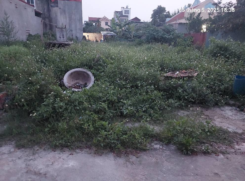 Cần tìm chủ mới, 88m2, mt5m, Nguyên Khê, Đông Anh, 5.25 tỷ, ô tô. - Ảnh 3