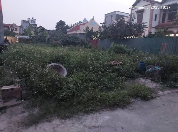 Cần tìm chủ mới, 88m2, mt5m, Nguyên Khê, Đông Anh, 5.25 tỷ, ô tô. - Ảnh 1