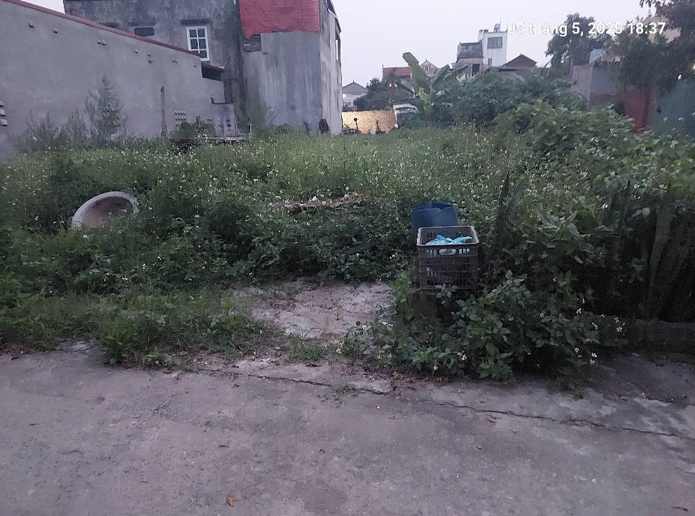 Cần tìm chủ mới, 88m2, mt5m, Nguyên Khê, Đông Anh, 5.25 tỷ, ô tô. - Ảnh chính
