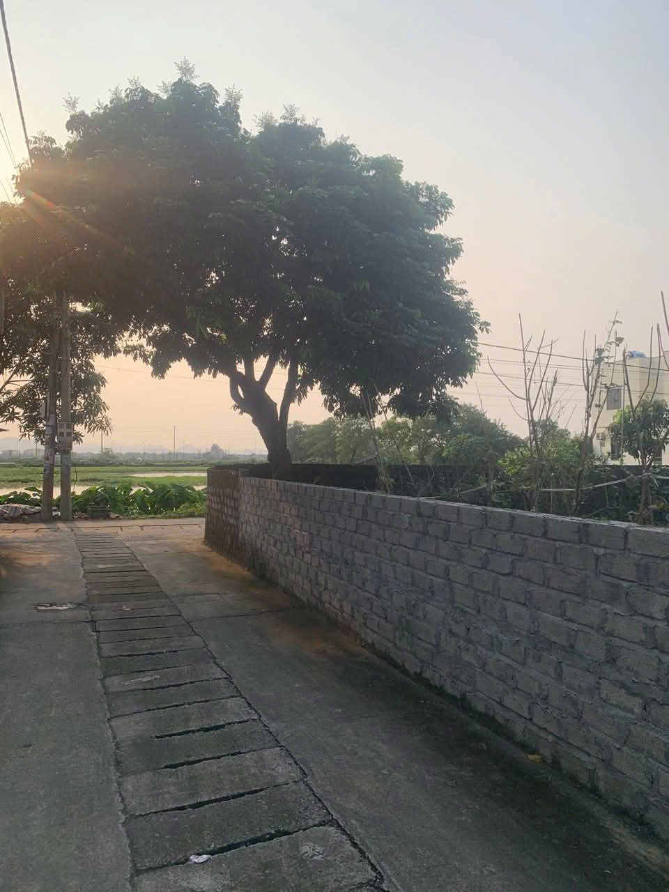 Sở hữu ngay lô đất mặt hồ Quỳnh Chân chỉ với 21 triệu/m²,150m2. cách Công Viên Nước SunWorld 500m - Ảnh chính