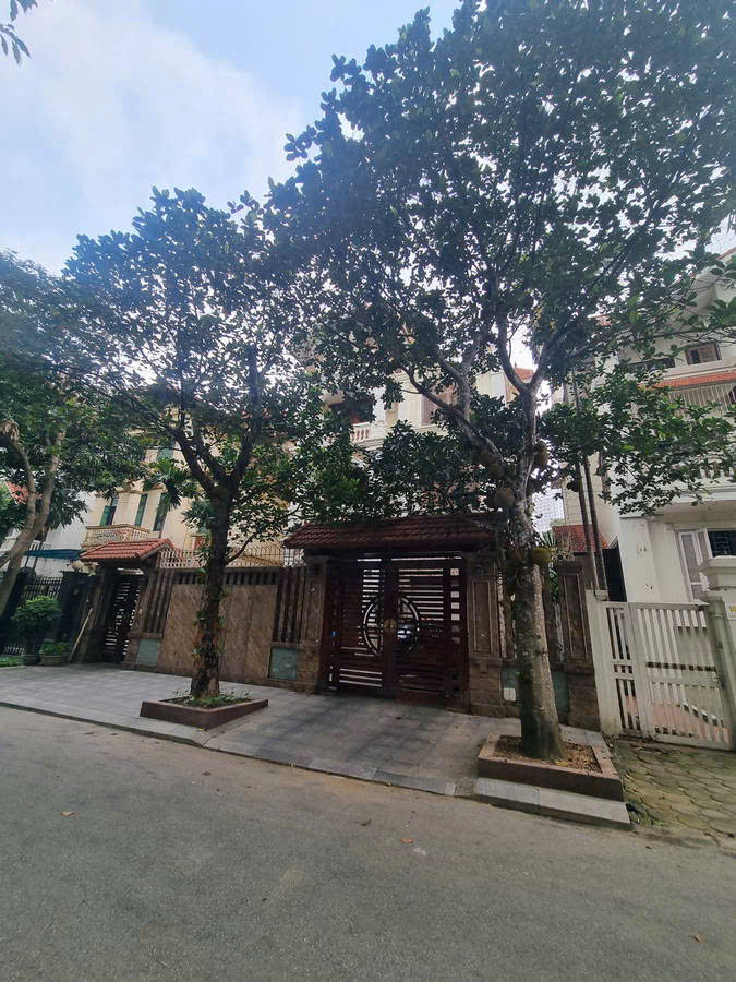 BIỆT THỰ VÍP BÁN ĐẢO LINH ĐÀM - HÀNG XÓM ĐẠI GIA LỚN - VIEW HỒ, SAU 1 DÃY RA MẶT HỒ - Ảnh 1