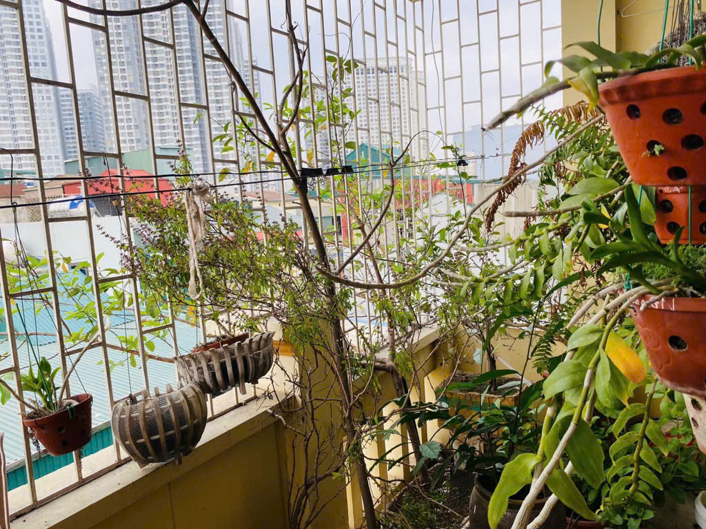 Nhà đẹp lô góc, ngõ thông ở Tân Khai - Ảnh 1