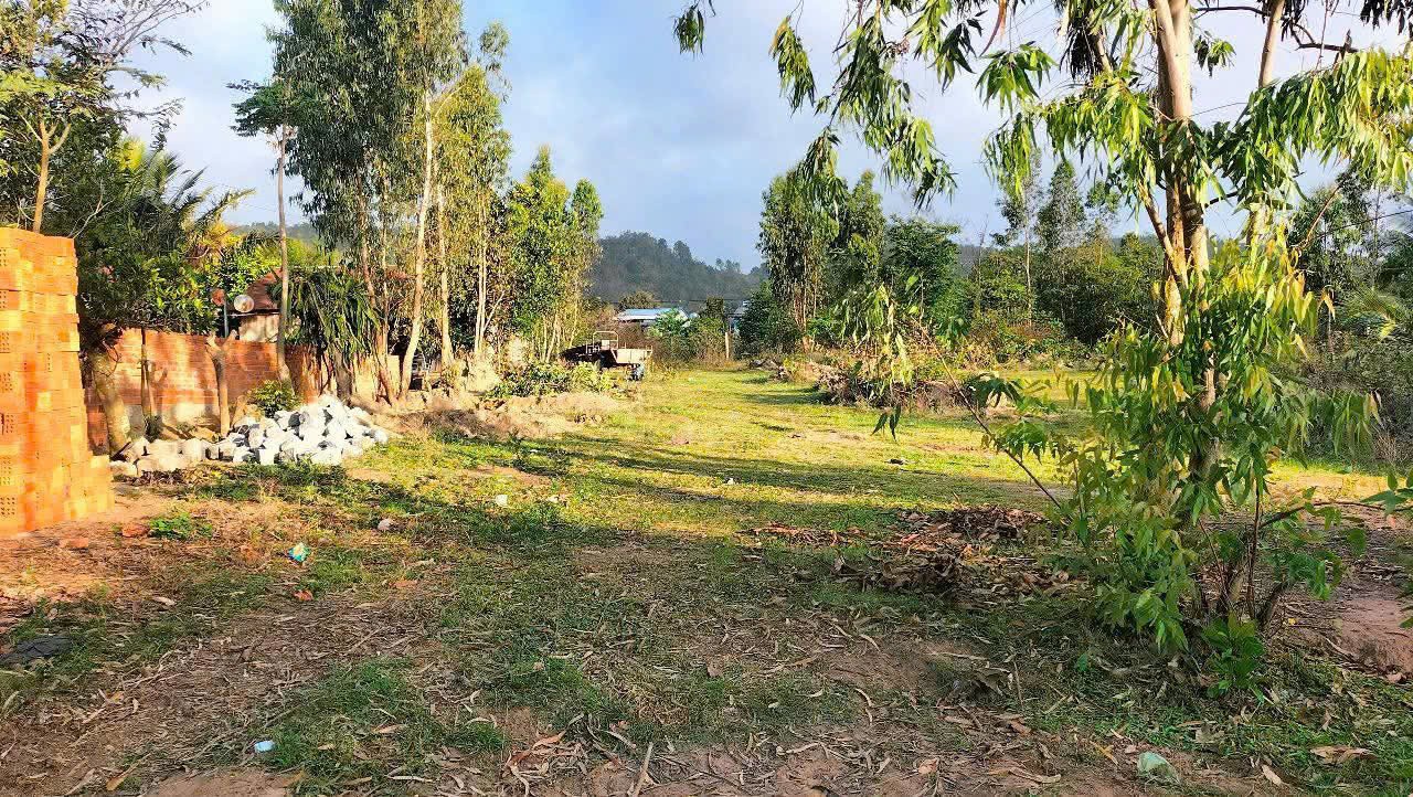 ĐẤT ĐẸP – GIÁ TỐT- CHÍNH CHỦ CẦN BÁN  LÔ ĐẤT  TẠI Quốc lộ 27 xã Yăng reh, Krong Bông, Đăk Lăk - Ảnh 4