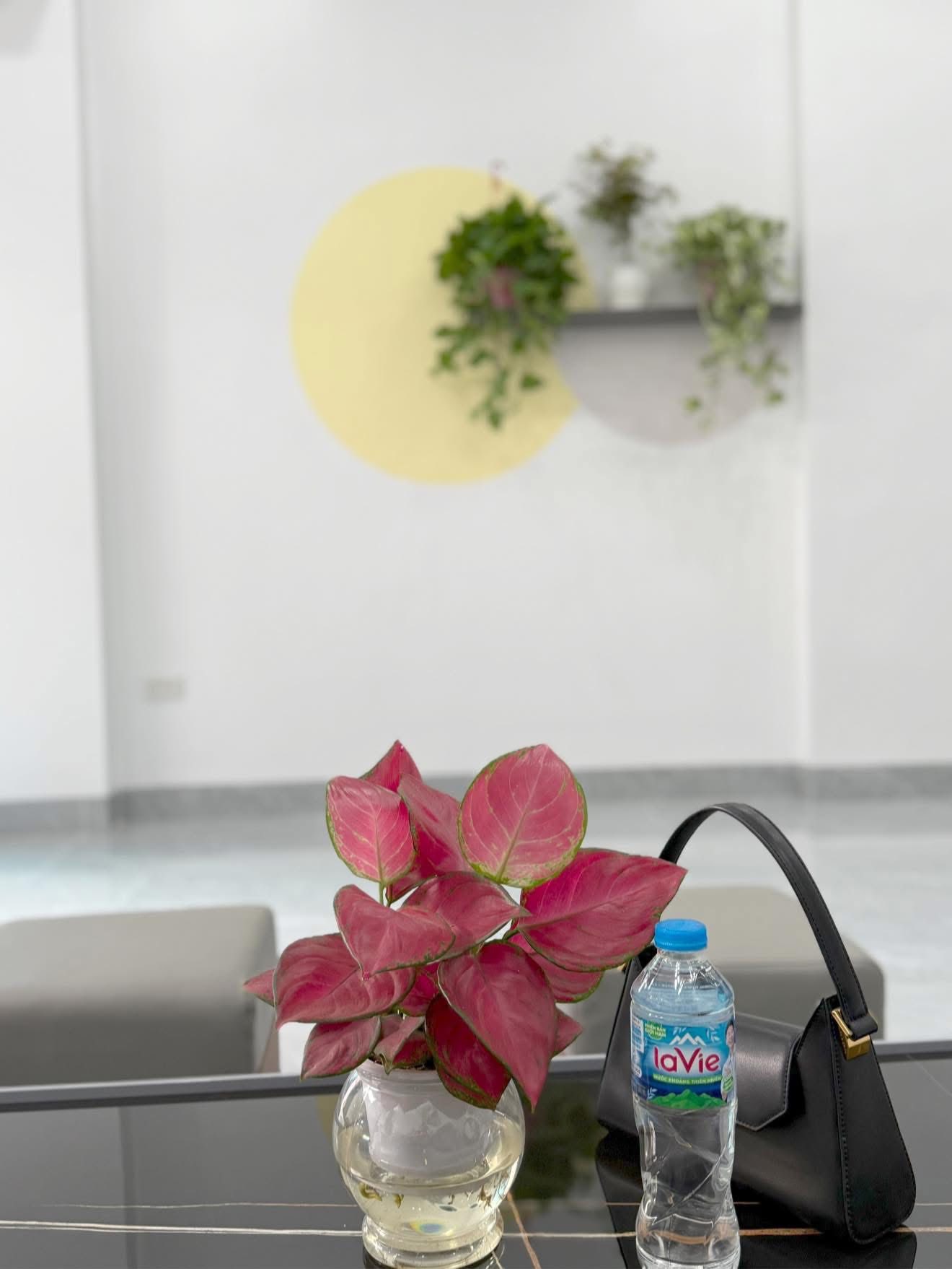 Bán nhà 3 tầng ngõ 20 đường Ngô Quyền, ph Thanh Bình, TP HD, 51m2, 3 ngủ, 3 vs, 2.8x tỷ - Ảnh 6