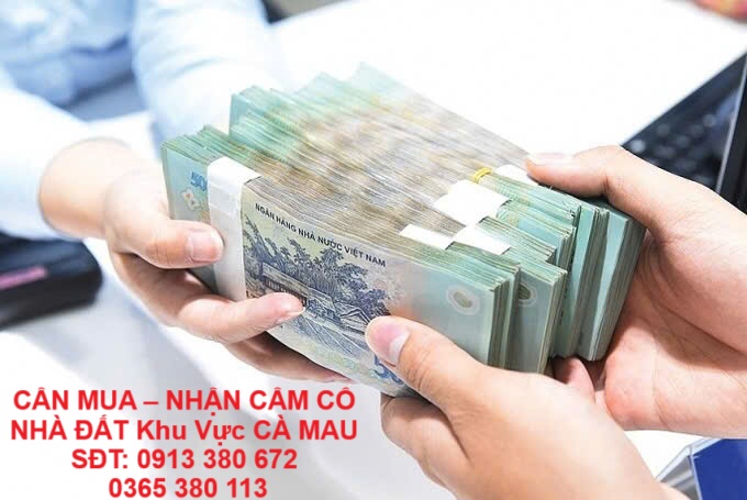 CẦN MUA – NHẬN CẦM CỐ NHÀ ĐẤT Khu Vực CÀ MAU – GIẢI NGÂN NHANH - Ảnh chính