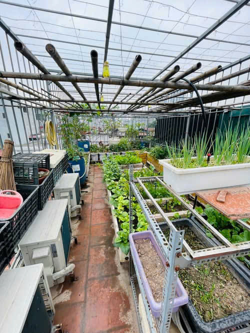 Cần Tiền Bán Gấp! Nhà Khương Đình - Thanh Xuân, DT35m2, 6Tầng, Nhà Đẹp, Giá Thương Lượng - Ảnh chính