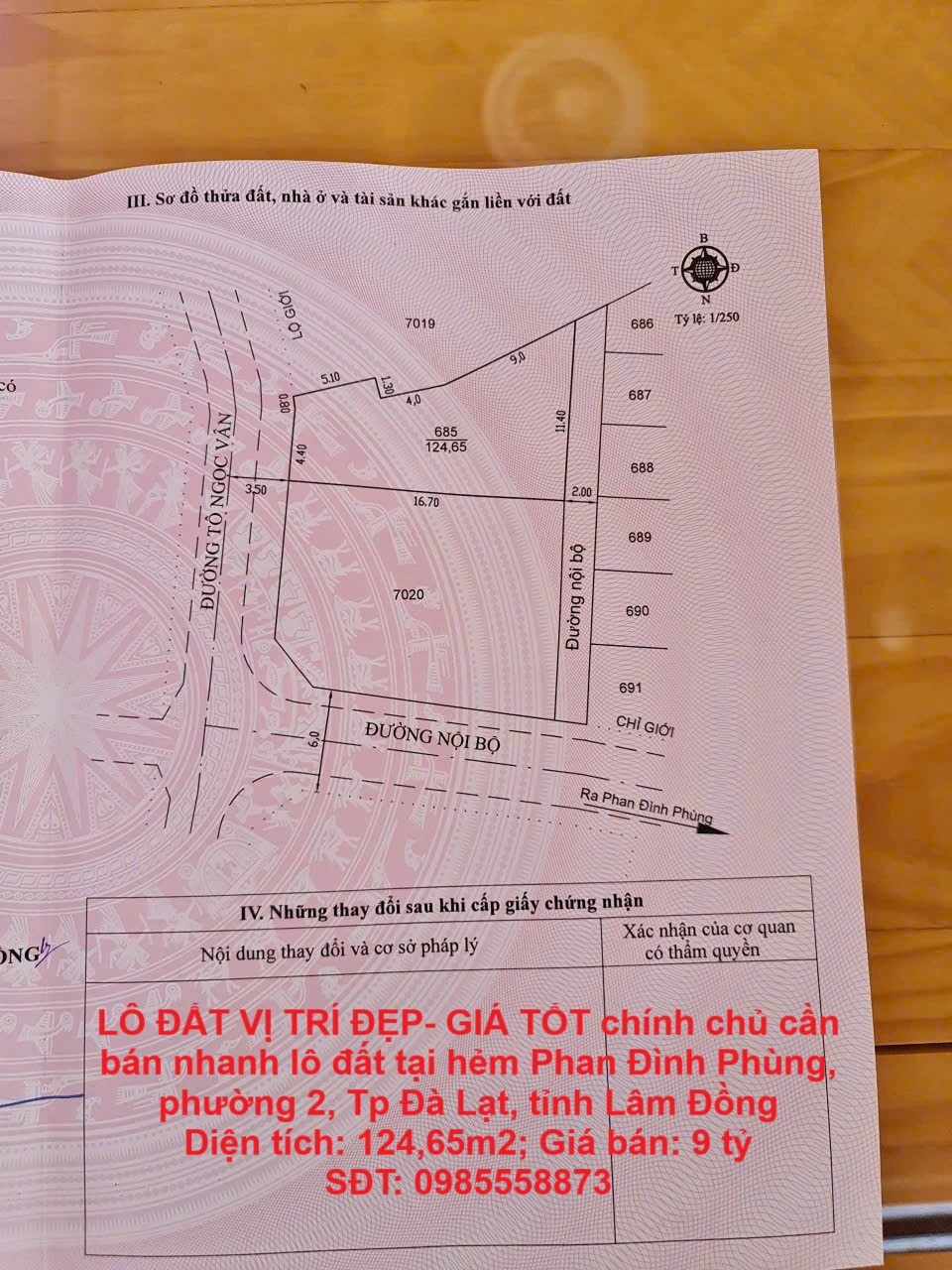 LÔ ĐẤT VỊ TRÍ ĐẸP- GIÁ TỐT chính chủ cần bán nhanh lô đất tại Tp Đà Lạt, tỉnh Lâm Đồng - Ảnh chính