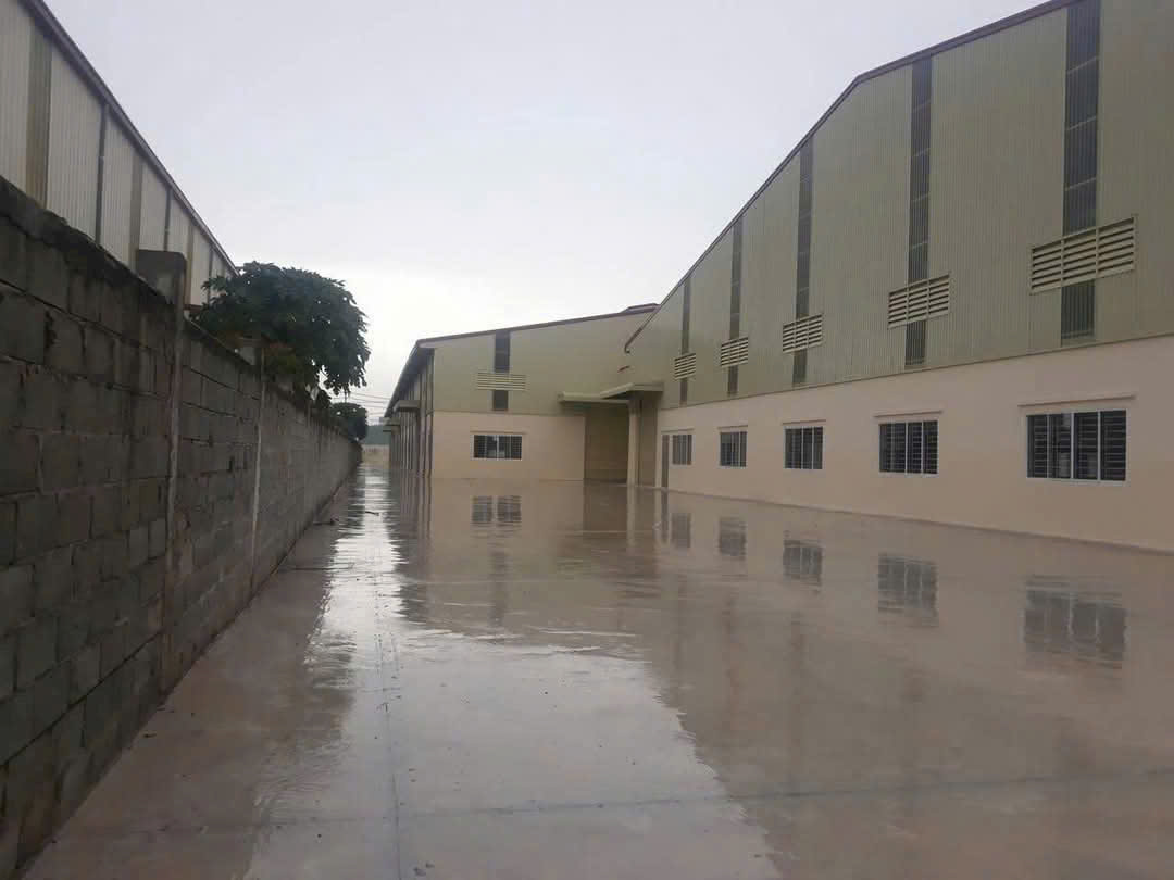 Cần bán nhà xưởng 20.000m2 trong KCN Đức Hòa, Long An - Ảnh 2