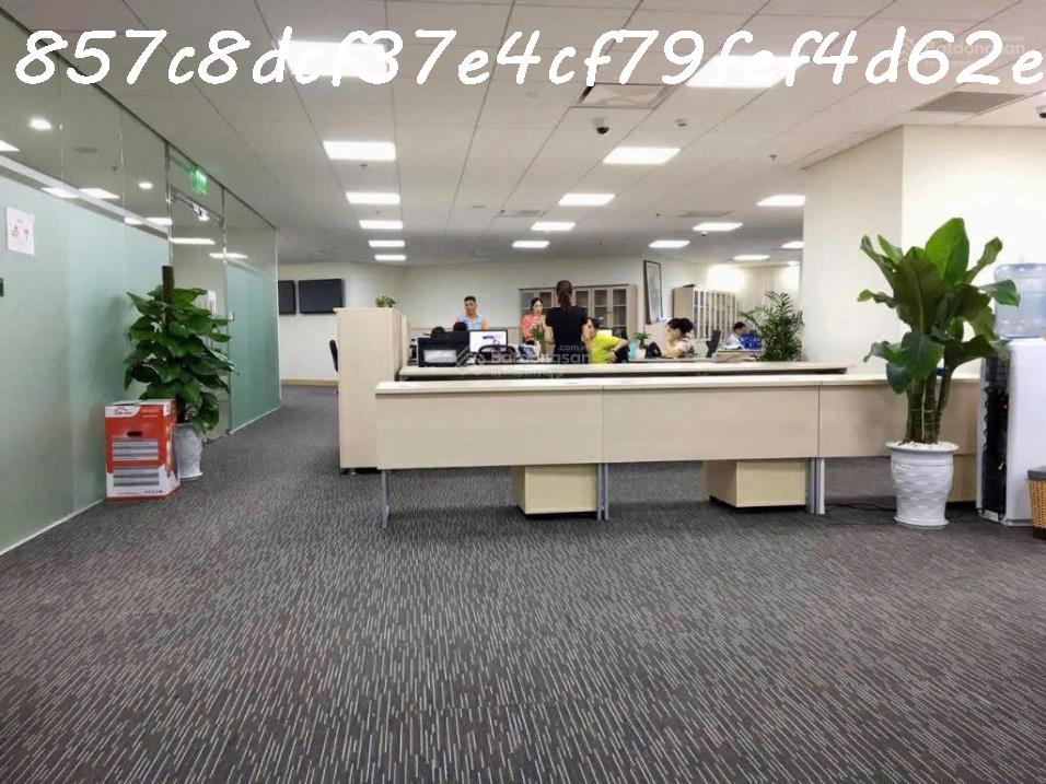 AI Bán nhà 228m² Lý Thường Kiệt, Tân Bình, 90 tỷ, sổ đỏ - Ảnh 2