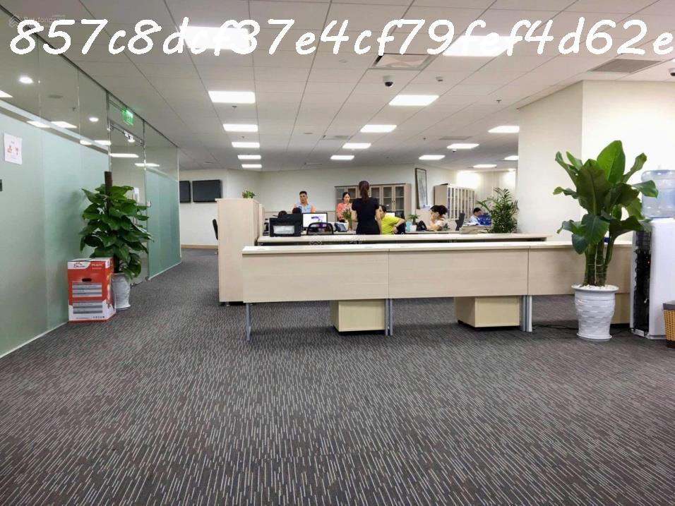 AI Bán nhà 228m² Lý Thường Kiệt, Tân Bình, 90 tỷ, sổ đỏ - Ảnh 4
