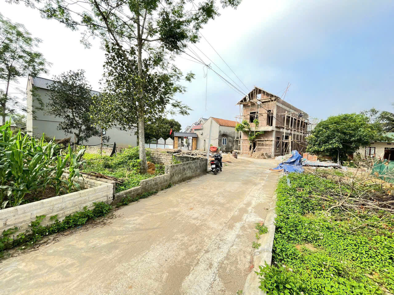 ĐẤT ĐẸP - GIÁ TỐT - Vị Trí Đắc Địa Tại Thôn Đồi Sen, Xã Bình Yên, Thạch Thất, TP Hà Nội - Ảnh chính