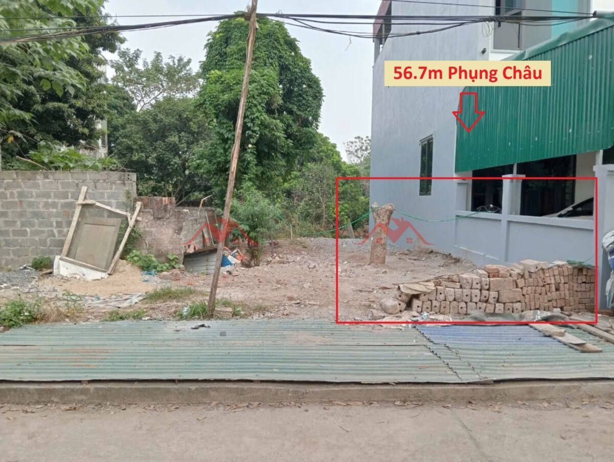CHÍNH CHỦ BÁN LÔ ĐẤT 56,7M TẠI PHỤNG CHÂU-CHƯƠNG MỸ-HÀ NỘI - Ảnh chính