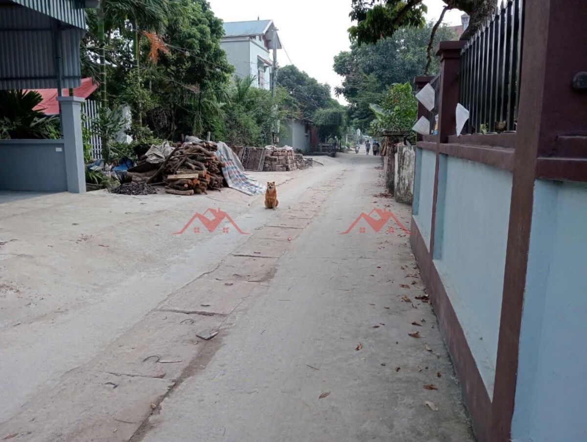CHÍNH CHỦ BÁN LÔ ĐẤT 56,7M TẠI PHỤNG CHÂU-CHƯƠNG MỸ-HÀ NỘI - Ảnh 2