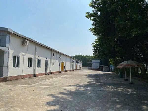 CHO THUÊ NHÀ MÁY CB THỰC PHẨM Tại GIA LÂM. HÀ NỘI - Ảnh 1