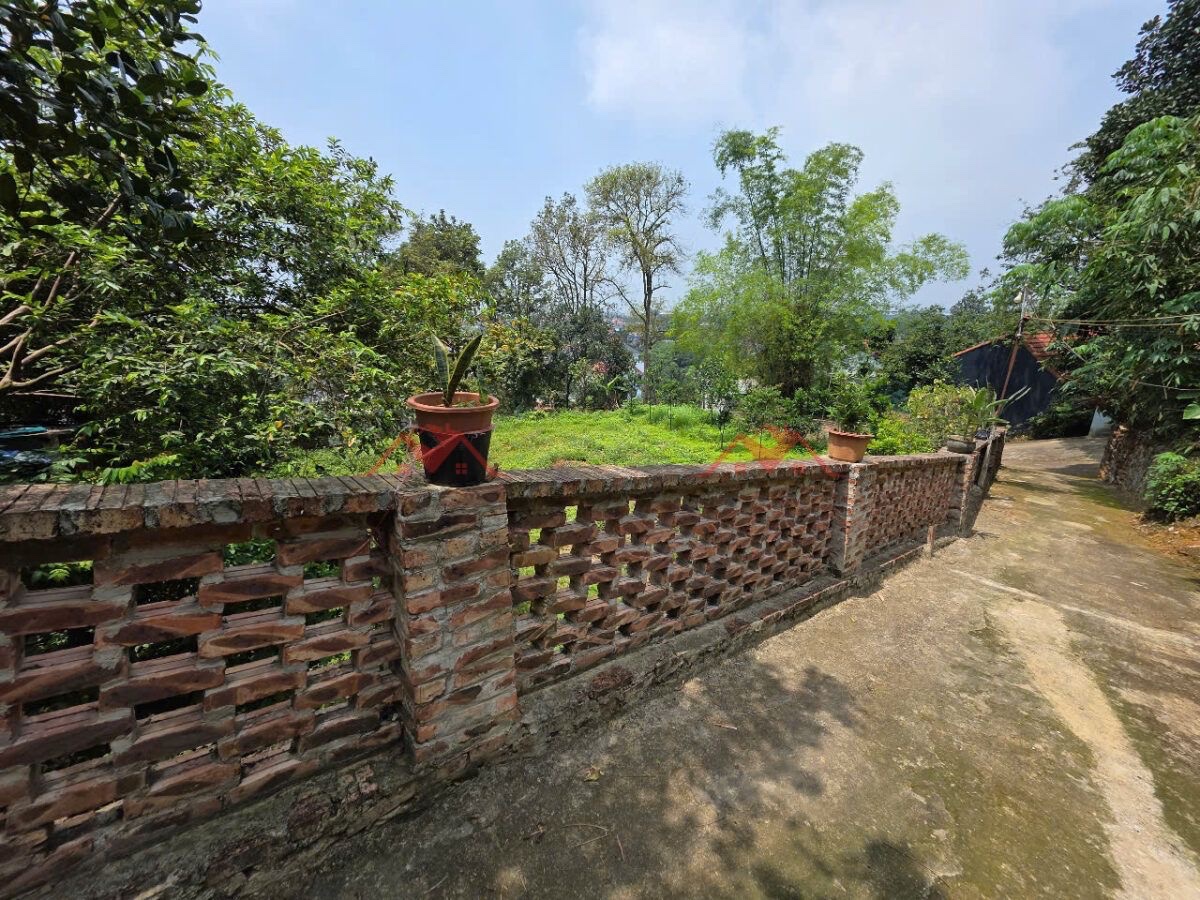 CHÍNH CHỦ BÁN LÔ ĐẤT 734M TẠI TIÊN PHƯƠNG-CHƯƠNG MỸ-HÀ NỘI - Ảnh 1