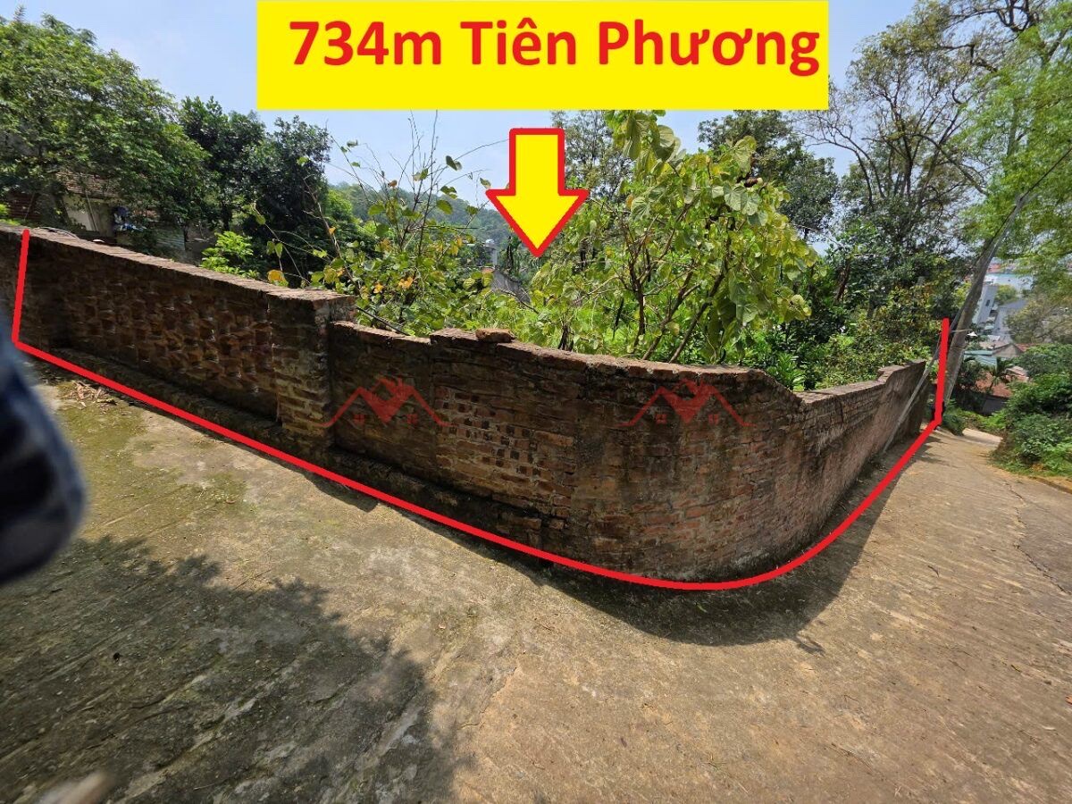 CHÍNH CHỦ BÁN LÔ ĐẤT 734M TẠI TIÊN PHƯƠNG-CHƯƠNG MỸ-HÀ NỘI - Ảnh chính