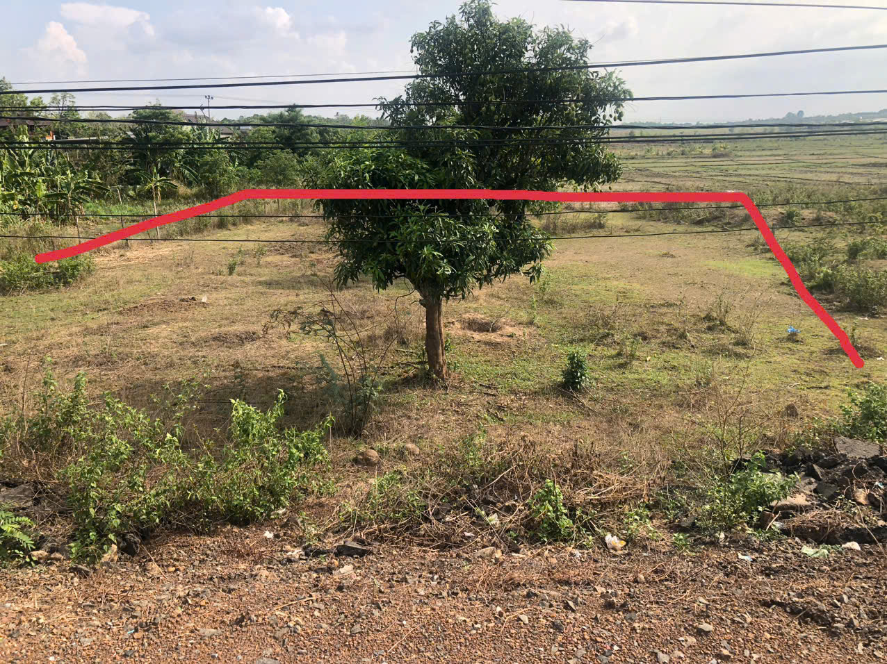 Đất 400 m2 thổ cư, 17m Mặt tiền Tỉnh lộ 1 - Huyện Buôn Đôn - Đăk Lăk, giá chỉ 170 tr/m - Ảnh 1