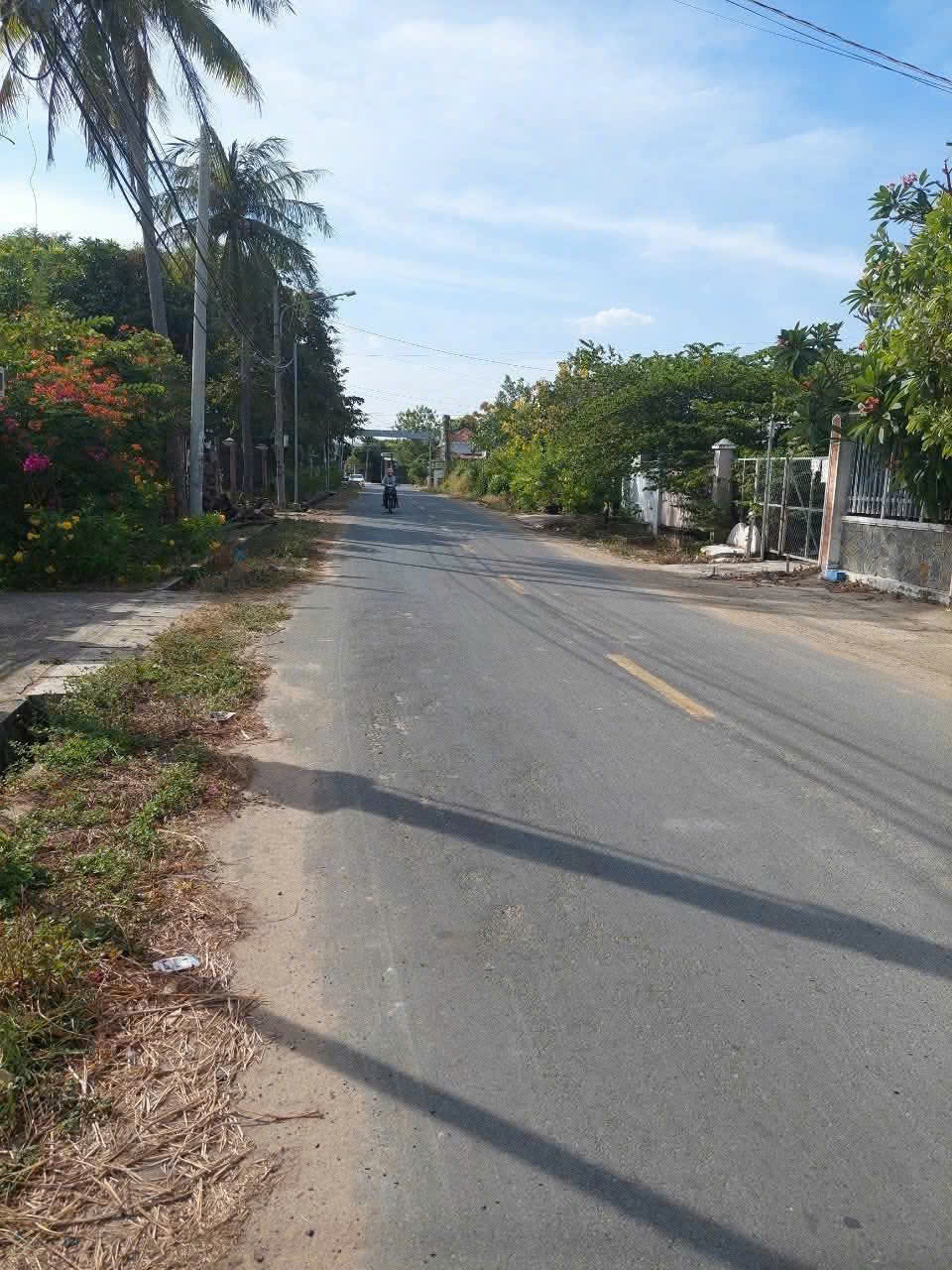 Bán lô đất 496 m² mặt tiền đường Phan Đăng Lưu, xã An Ngãi, huyện Long Đất - Ảnh chính